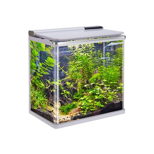 아마존 곡유리 아쿠아리움 수조 AMZ-640F, 화이트, 1개