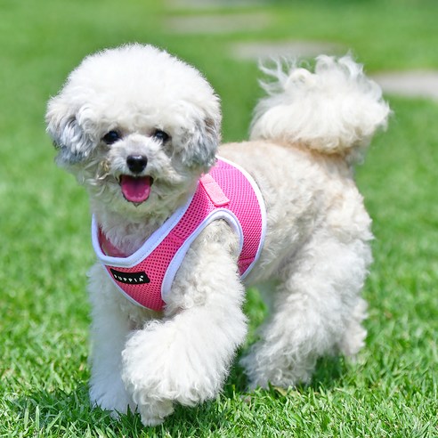 퍼피아 강아지고양이 소프트베스트 하네스 II, 핑크