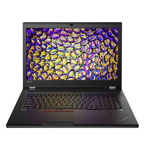 레노버 2019 ThinkPad P73 17.3, 블랙, 코어i5 9세대, 256GB, 8GB, WIN10 Pro, 20QRS02K00