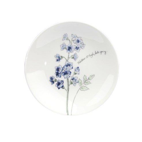 레녹스 아티스트 스케치북 PARTY PLATE, 혼합 색상