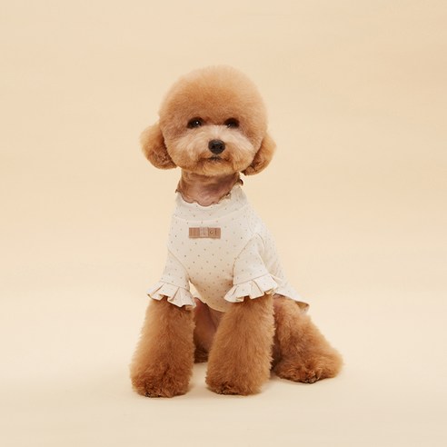 유노펫 반려동물 로이 탑, IVORY