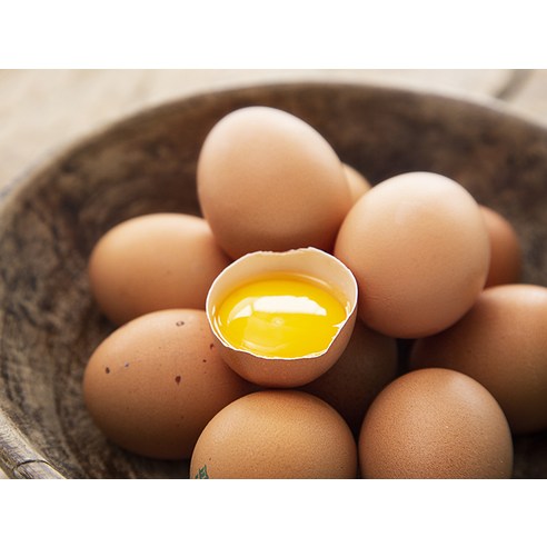 건강한 달걀을 만나보세요
