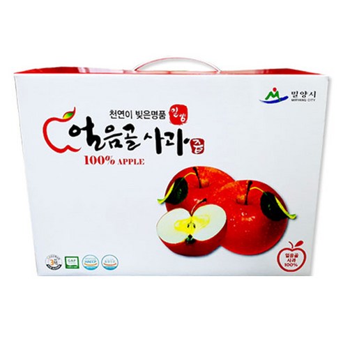햇빛식품 밀양 얼음골 사과즙, 5.5L, 1박스