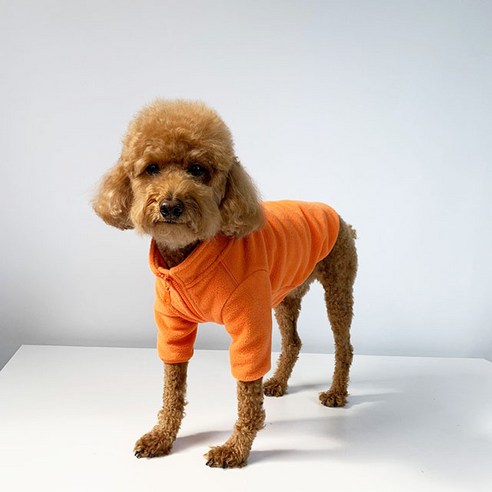 유앤펫 강아지 따숩 후리스, 오렌지