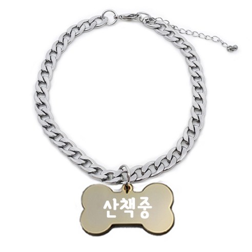 펫츠룩 써지컬 반려동물 체인A 뼈다귀 산책중, 골드