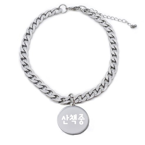 펫츠룩 써지컬 반려동물 체인A 원형 산책중, 실버