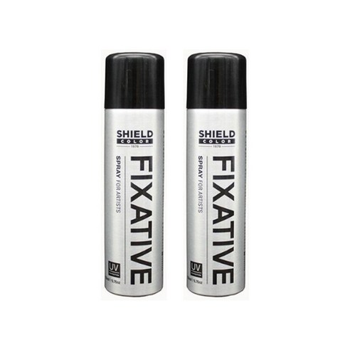 쉴드 미술용 픽사티브, 150ml, 2개