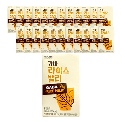 서강 가바 라이스 밸리 밀크, 250ml, 24개