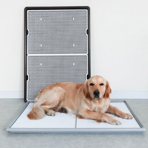 딩동펫 강아지 와이드 점보 배변판은 편안함과 청결함을 동시에 제공하는 제품입니다.