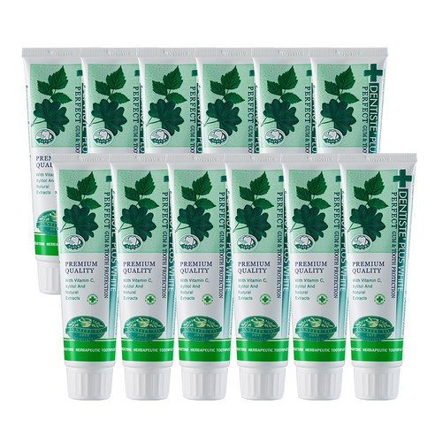 덴티스테 플러스화이트 치약, 100g, 12개