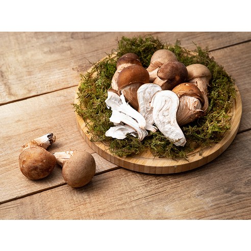 풍부한 영양과 향미를 뽐내는 국내산 참송이버섯