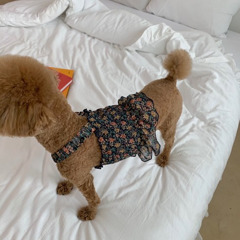 유앤펫 강아지 시스루 스모크 밴딩 탑 티셔츠, 네이비