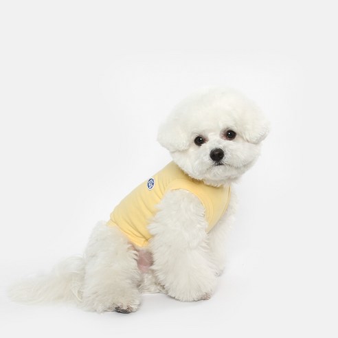 투스투스 강아지 베이직 민소매, 옐로우