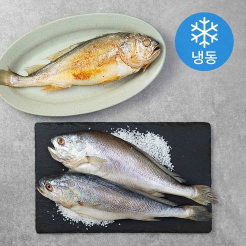 반건조 부세 특대 3미 (냉동), 750g, 1개