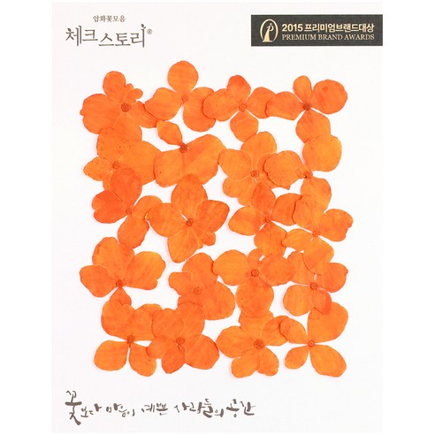 체크스토리 압화꽃송이 수국염색, 오렌지