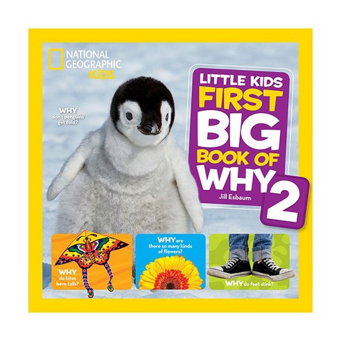 Little Kids First Big Book of Why 2, 내셔널지오그래픽키즈  Best 5