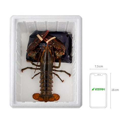 바다의 진수가 담긴 바이킹마켓 캐나다산 활랍스터