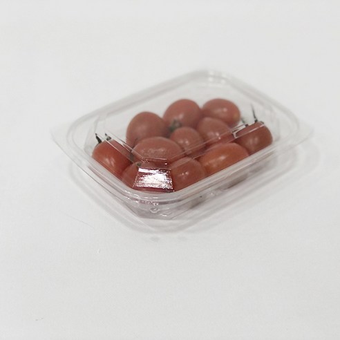 티나피크닉 일회용 1칸 샐러드 반찬용기 투명 270ml TN-02, 1개입, 100개