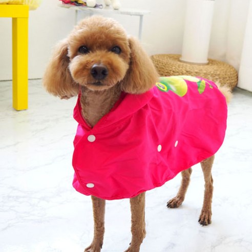 유앤펫 강아지 파핑파핑 레인코트, 핑크
