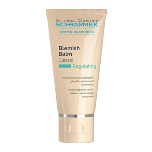 슈라멕 블레미쉬밤 비비크림 40ml, 허니, 1개