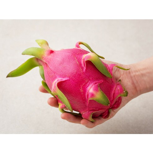 매일 아침, 눈부신 하루를 여는 마법, Dole 용과!