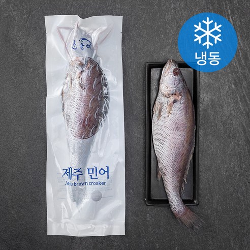 한올레 제주 통민어 대 (냉동), 600g, 1팩