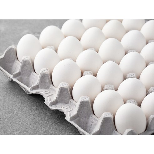 신선한 계란과 풍부한 맛을 즐길 수 있는 무항생제 백색 특란