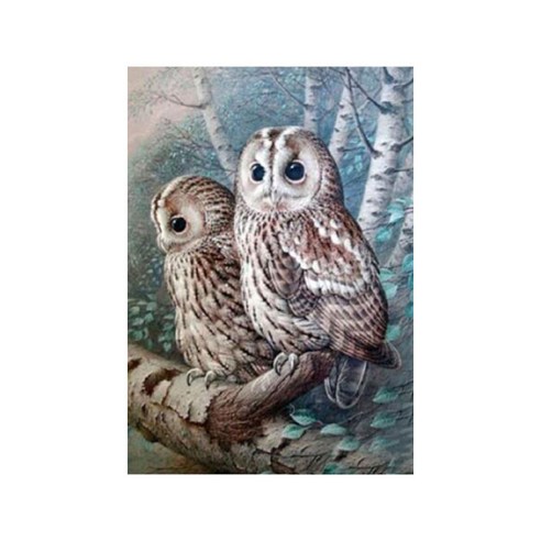 아리코 보석십자수 구슬 비즈 DIY 키트 30 x 40 cm, 두마리의부엉이, 1개