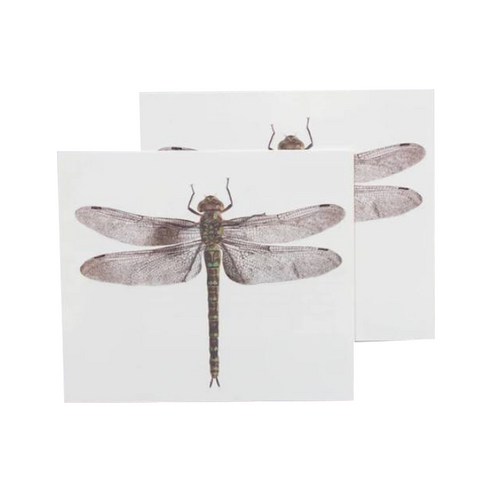 태틀리 DRAGONFLY 페어 2p, 1개