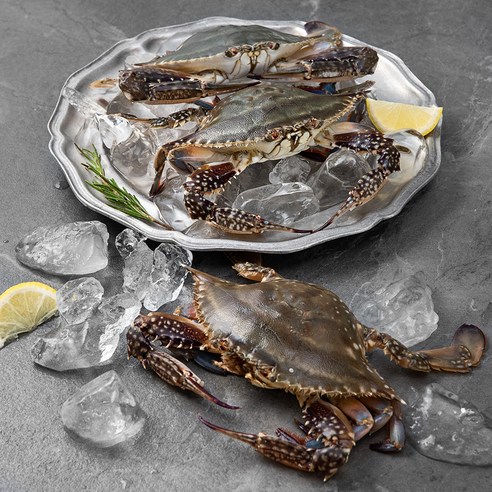 서해의 깊은 풍미를 담은, 어부심 알배기 암꽃게 이야기 암꽃게