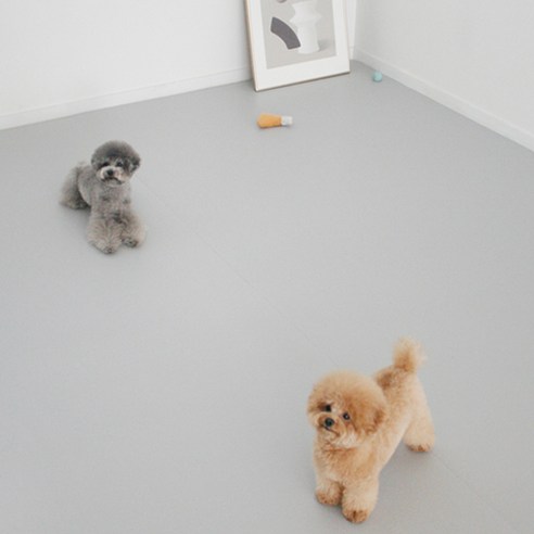 티지오매트 우다다 PVC 강아지 매트, 모던그레이, 12mm x 140cm x 200cm