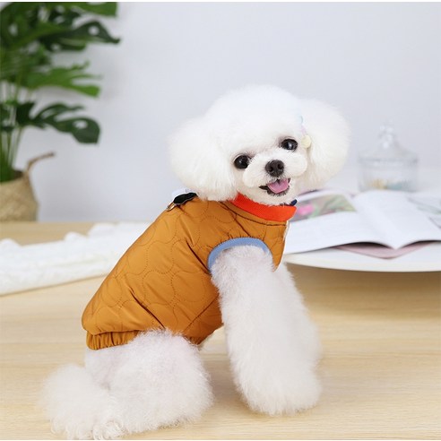 伴侶  寵物產品  小狗  貓  聯合使用  服裝  外衣  狗  狗  狗