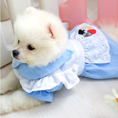伴侶  寵物用品  小狗  貓  聯合使用  服裝  狗  狗  狗  狗