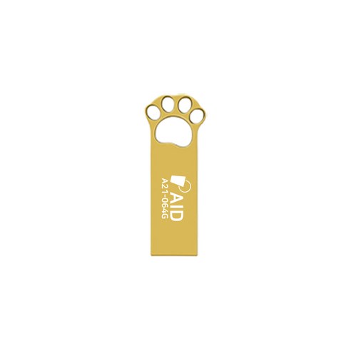 AID A21 USB 2.0 골드, 64GB
