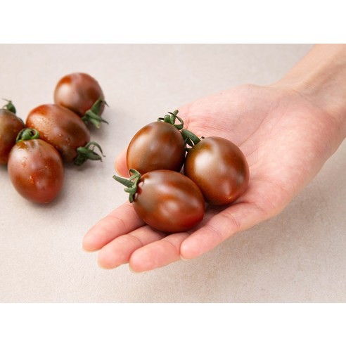 달콤한 맛과 향을 가진 블랙대추방울토마토