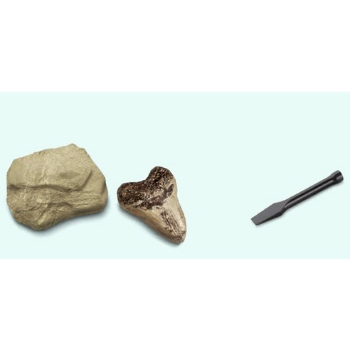 Discovery 文具 學習用品 學科 準備 考古 文物 發掘 套件 學校 學校 學生 學生 學生 發掘實驗 用品