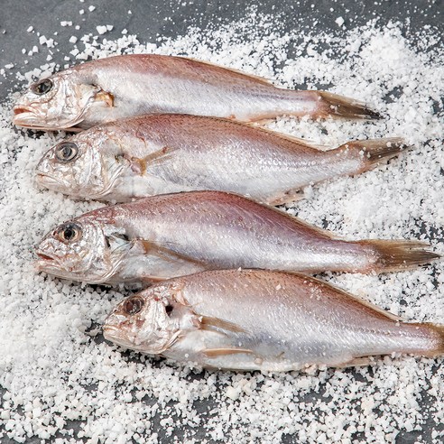 부산 13번 중매인 생물 소금간 백조기 4~6미 구이용 (냉장), 500g, 4개