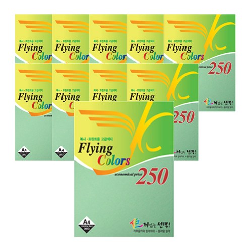 플라잉칼라 점보 복사용지 19 250매 x 10p, A4, 2500매