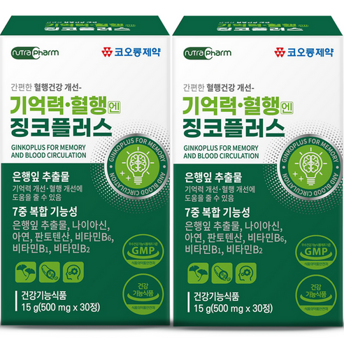 코오롱제약 기억력 혈행엔 징코 플러스 15g, 30정, 2개