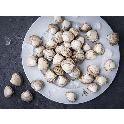 서해안에서 직접 수확한 단디프레시 갯벌 동죽조개로 요리에 깊은 풍미와 영양을 더하세요.