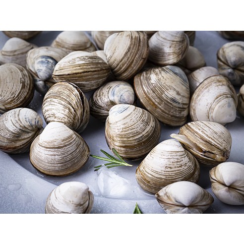 서해안에서 직접 수확한 단디프레시 갯벌 동죽조개로 요리에 깊은 풍미와 영양을 더하세요.