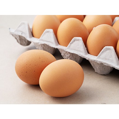 다양한 요리에 사용되는 녹색계란 왕란! 탐스러운 왕란샛노란 노른자와 맑은 흰자가 담긴 계란으로 레시피를 다양하게 활용해보세요.