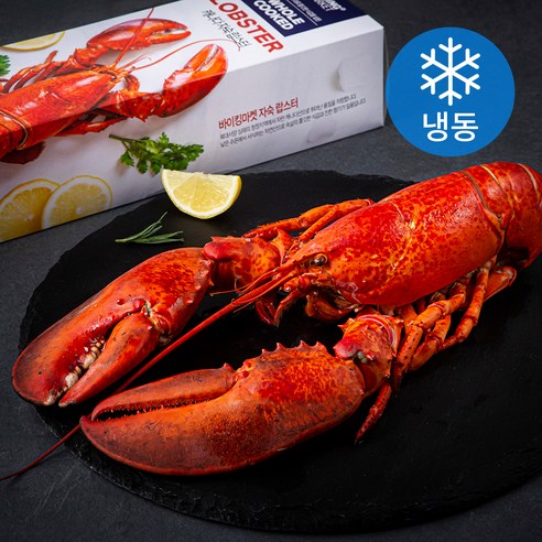 바이킹마켓 캐나다산 자숙 랍스터 (냉동), 1kg 내외, 1개