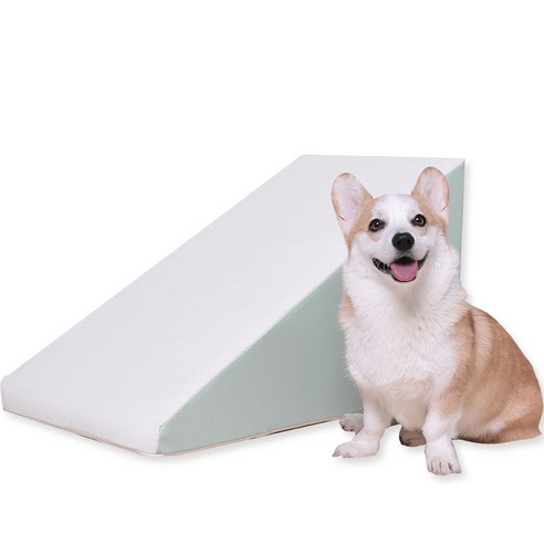 초코펫하우스 강아지 야광 논슬립 스텝 2.0, 민트, 1개