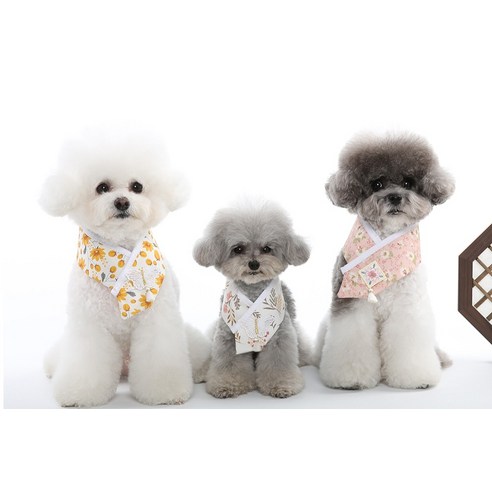 伴侶  寵物用品  小狗  貓  聯合使用  狗  狗  狗  狗  小狗