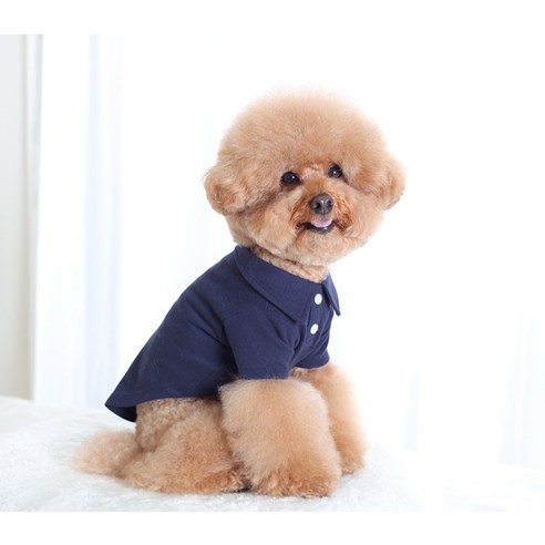 伴侶  寵物產品  小狗  貓  組合使用  服裝  T卹  狗  狗  狗