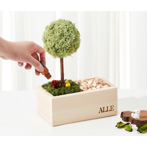 園藝 園藝 用品 園藝 苔蘚 植物 苔蘚 用於園藝
