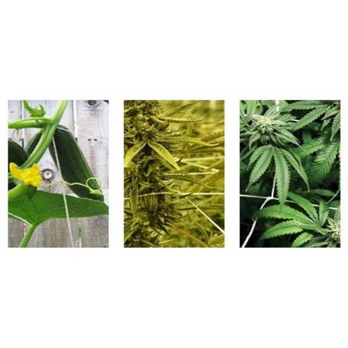 園藝 園藝 用品 園藝 花園 裝飾 圍欄 圍欄 裝飾 裝飾