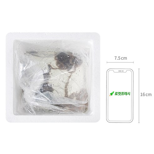 신선한 바다의 맛, 어부심 산지직송 목포낙지