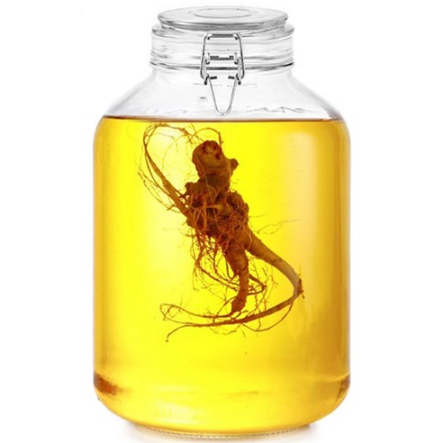 차이나다 다용도 밀폐 유리병, 5000ml, 1개